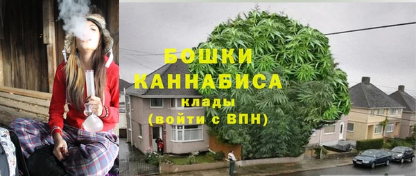 крисы Богородицк